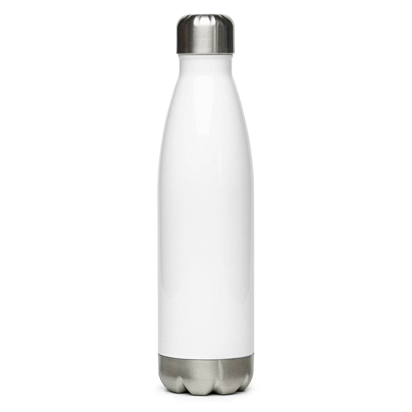 The Explorer Stainless Steel Water Bottle